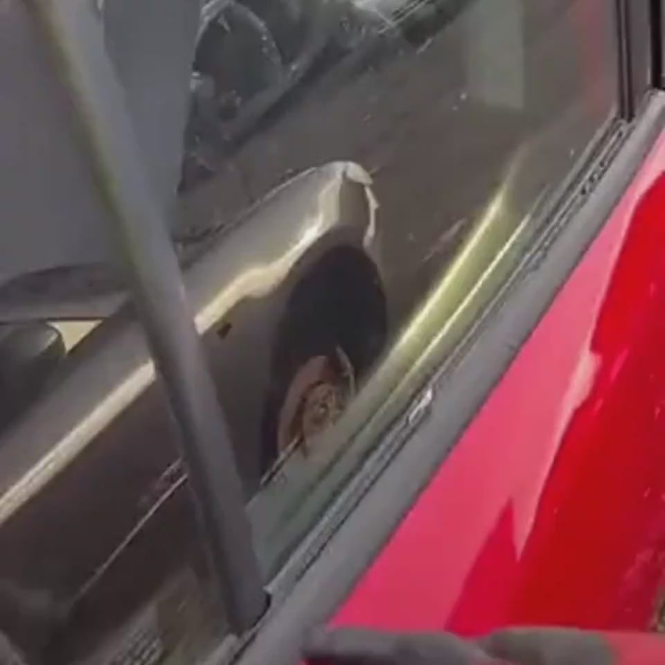 Seat Belt Cutter – Emergency on Hand